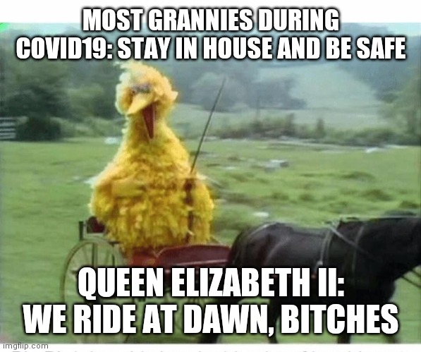 Big Bird in Carriage | MOST GRANNIES DURING COVID19: STAY IN HOUSE AND BE SAFE; QUEEN ELIZABETH II: WE RIDE AT DAWN, BITCHES | image tagged in big bird in carriage | made w/ Imgflip meme maker