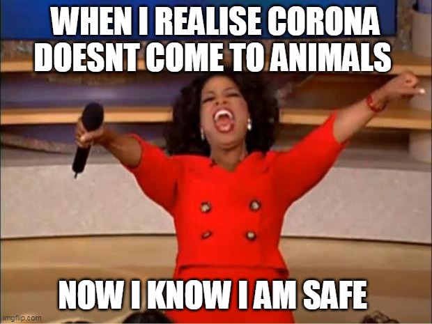 Oprah You Get A Meme | WHEN I REALISE CORONA DOESNT COME TO ANIMALS; NOW I KNOW I AM SAFE | image tagged in memes,oprah you get a | made w/ Imgflip meme maker