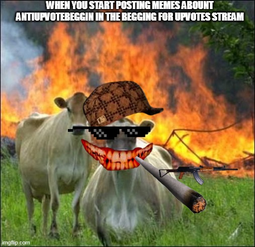 Evil Cows | WHEN YOU START POSTING MEMES ABOUNT ANTIUPVOTEBEGGIN IN THE BEGGING FOR UPVOTES STREAM | image tagged in memes,evil cows | made w/ Imgflip meme maker