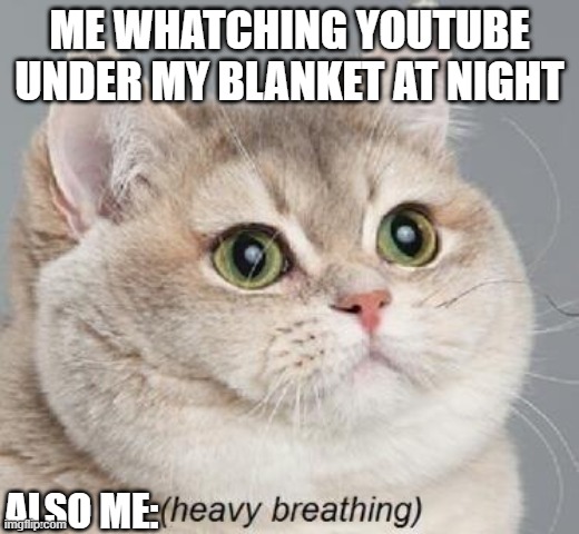 Heavy Breathing Cat Meme | ME WHATCHING YOUTUBE UNDER MY BLANKET AT NIGHT; ALSO ME: | image tagged in memes,heavy breathing cat | made w/ Imgflip meme maker