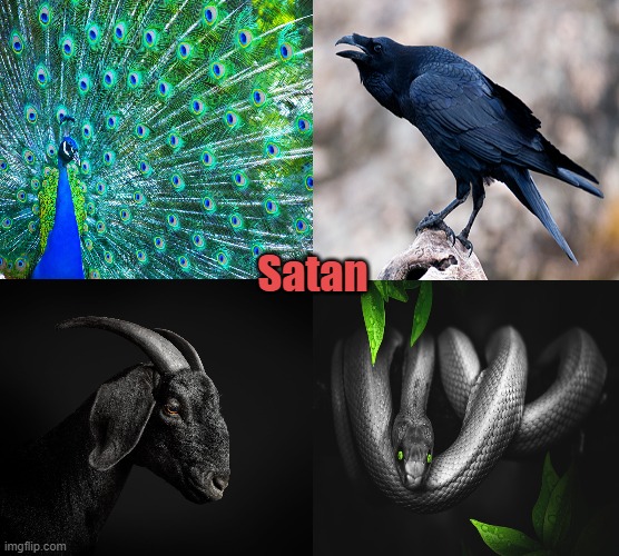 Symbols of Satan |  Satan | image tagged in satan,peacock,raven,goat,serpent,lucifer | made w/ Imgflip meme maker