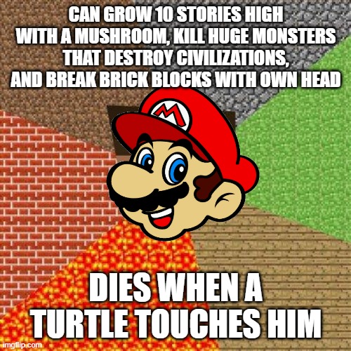 Minecraft Steve | CAN GROW 10 STORIES HIGH WITH A MUSHROOM, KILL HUGE MONSTERS THAT DESTROY CIVILIZATIONS, AND BREAK BRICK BLOCKS WITH OWN HEAD; DIES WHEN A TURTLE TOUCHES HIM | image tagged in minecraft steve | made w/ Imgflip meme maker
