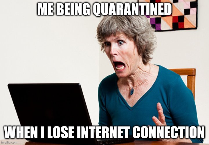 Mom frustrated at laptop | ME BEING QUARANTINED; WHEN I LOSE INTERNET CONNECTION | image tagged in mom frustrated at laptop | made w/ Imgflip meme maker