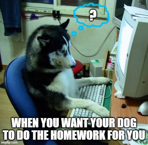 I Have No Idea What I Am Doing Meme |  ? WHEN YOU WANT YOUR DOG TO DO THE HOMEWORK FOR YOU | image tagged in memes,i have no idea what i am doing | made w/ Imgflip meme maker