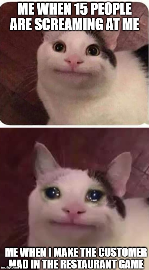 :( | ME WHEN 15 PEOPLE ARE SCREAMING AT ME; ME WHEN I MAKE THE CUSTOMER MAD IN THE RESTAURANT GAME | image tagged in polite cat,crying polite cat,cat,gaming | made w/ Imgflip meme maker