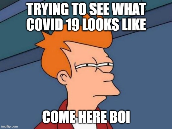 Futurama Fry | TRYING TO SEE WHAT COVID 19 LOOKS LIKE; COME HERE BOI | image tagged in memes,futurama fry | made w/ Imgflip meme maker