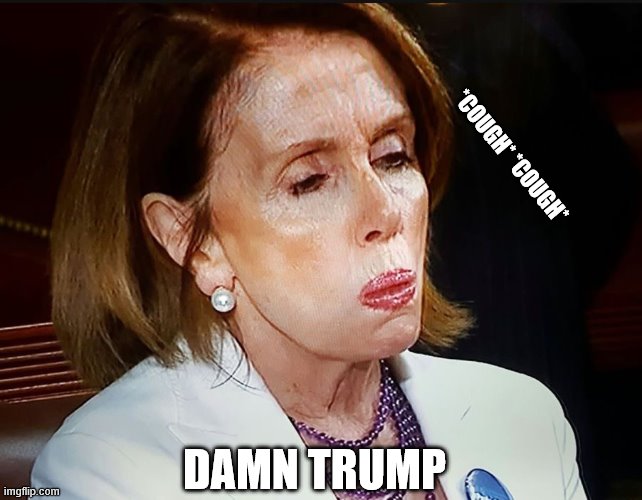 Nancy Pelosi PB Sandwich | DAMN TRUMP *COUGH* *COUGH* | image tagged in nancy pelosi pb sandwich | made w/ Imgflip meme maker