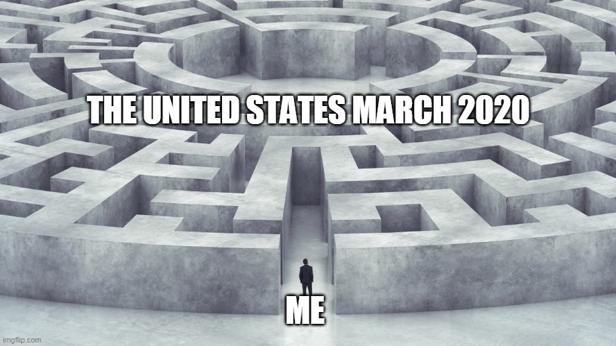 The Locked Down States of America | THE UNITED STATES MARCH 2020; ME | image tagged in lockdown,coronavirus,covid-19 | made w/ Imgflip meme maker