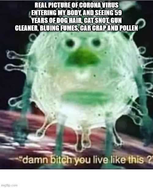 corona |  REAL PICTURE OF CORONA VIRUS ENTERING MY BODY, AND SEEING 59 YEARS OF DOG HAIR, CAT SNOT, GUN CLEANER, BLUING FUMES, CAR CRAP AND POLLEN | image tagged in coronavirus | made w/ Imgflip meme maker