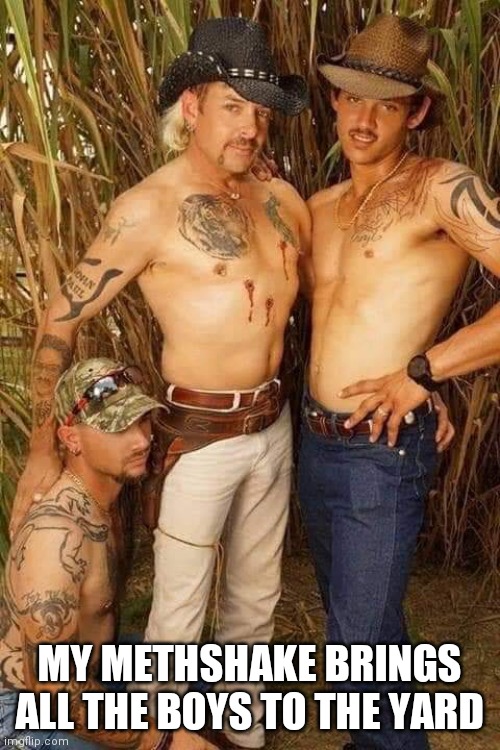 Joe Exotic | MY METHSHAKE BRINGS ALL THE BOYS TO THE YARD | image tagged in joe exotic | made w/ Imgflip meme maker