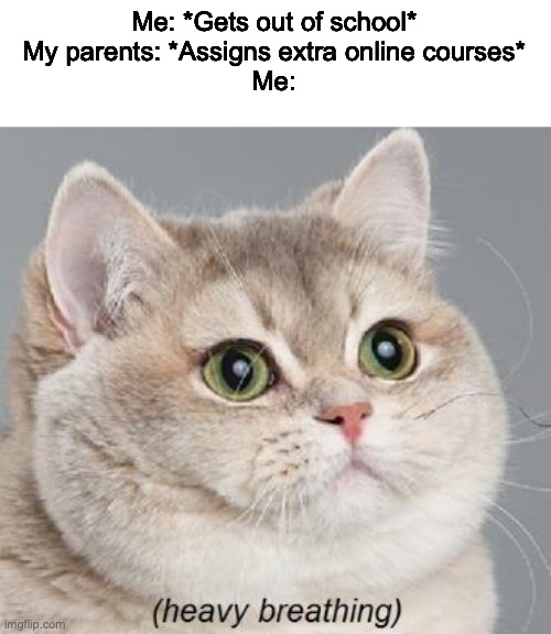Heavy Breathing Cat | Me: *Gets out of school*
My parents: *Assigns extra online courses*
Me: | image tagged in memes,heavy breathing cat | made w/ Imgflip meme maker