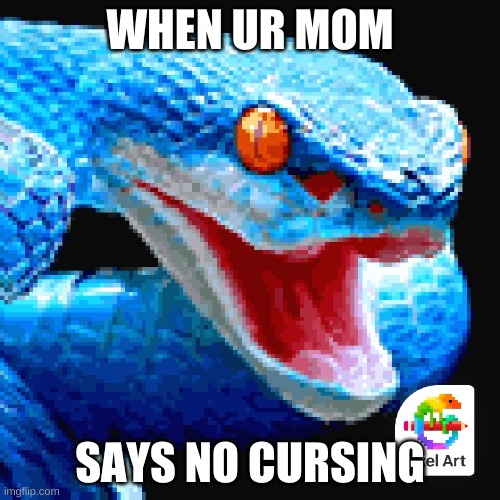 WHEN UR MOM; SAYS NO CURSING | made w/ Imgflip meme maker