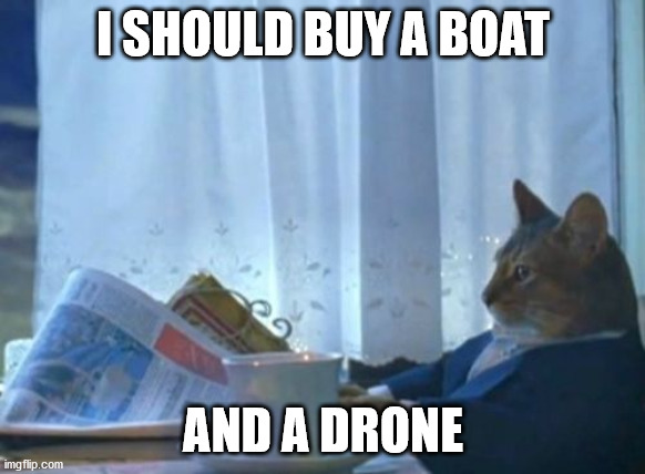 I Should Buy A Boat Cat Meme |  I SHOULD BUY A BOAT; AND A DRONE | image tagged in memes,i should buy a boat cat | made w/ Imgflip meme maker