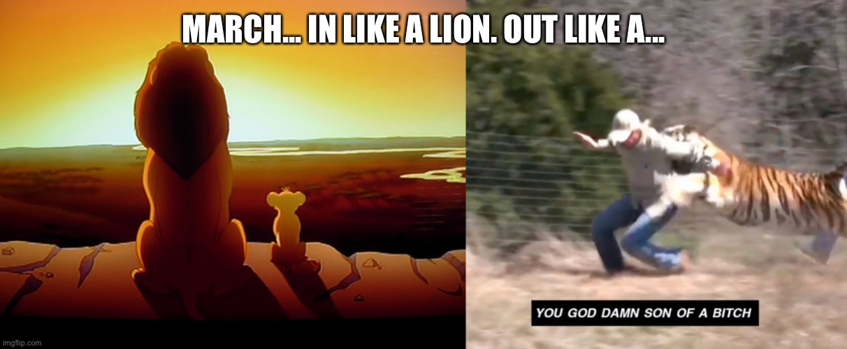 March | MARCH... IN LIKE A LION. OUT LIKE A... | image tagged in memes,lion king,joe exotic | made w/ Imgflip meme maker