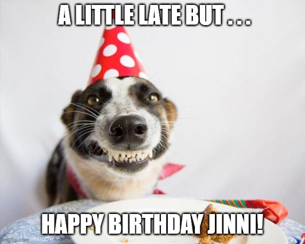 birthday dog | A LITTLE LATE BUT . . . HAPPY BIRTHDAY JINNI! | image tagged in birthday dog | made w/ Imgflip meme maker