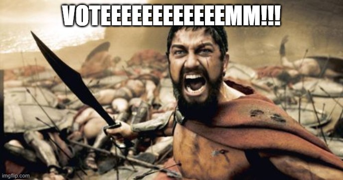Sparta Leonidas Meme | VOTEEEEEEEEEEEEMM!!! | image tagged in memes,sparta leonidas | made w/ Imgflip meme maker
