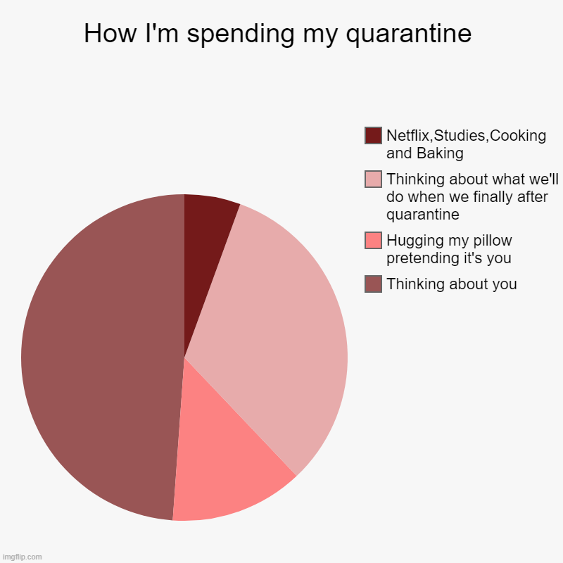 How I'm spending my quarantine | Thinking about you, Hugging my pillow pretending it's you, Thinking about what we'll do when we finally aft | image tagged in charts,pie charts | made w/ Imgflip chart maker