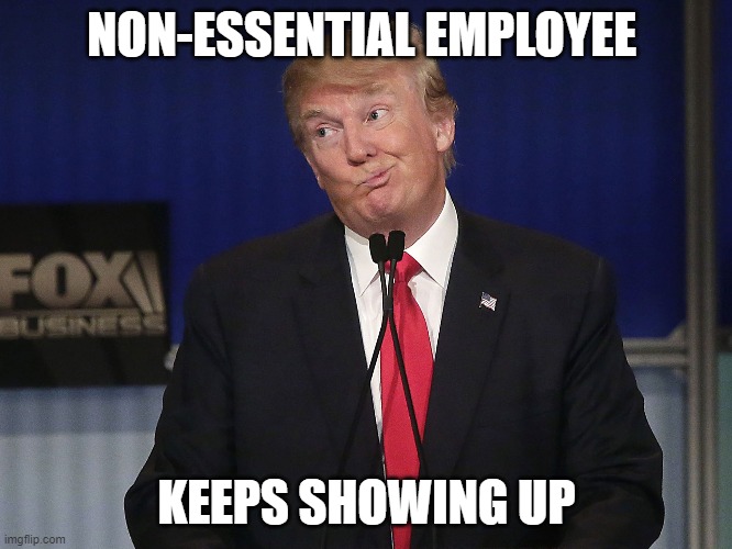 stupid donald trump pressumptive American President Hi-Rez | NON-ESSENTIAL EMPLOYEE; KEEPS SHOWING UP | image tagged in stupid donald trump pressumptive american president hi-rez | made w/ Imgflip meme maker