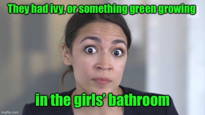 Crazy Alexandria Ocasio-Cortez | They had ivy, or something green growing in the girls’ bathroom | image tagged in crazy alexandria ocasio-cortez | made w/ Imgflip meme maker