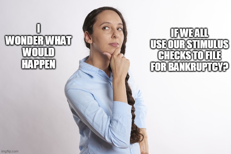 Screw the economy? | IF WE ALL USE OUR STIMULUS CHECKS TO FILE FOR BANKRUPTCY? I WONDER WHAT WOULD HAPPEN | image tagged in stimulus,coronavirus,corona,covid-19 | made w/ Imgflip meme maker