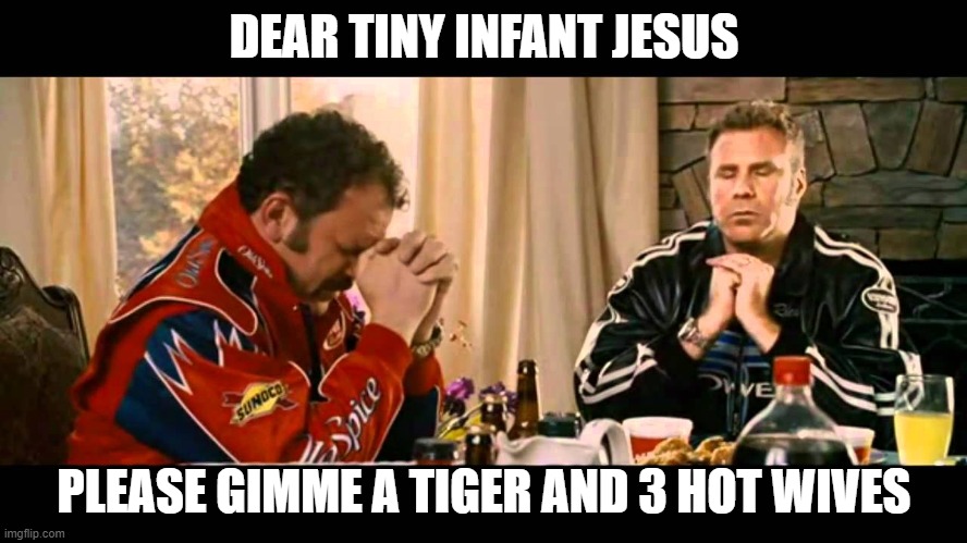 Ricky Bobby prayer | DEAR TINY INFANT JESUS; PLEASE GIMME A TIGER AND 3 HOT WIVES | image tagged in tiger king,ricky bobby | made w/ Imgflip meme maker