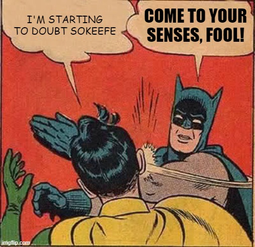 Batman Slapping Robin Meme | I'M STARTING TO DOUBT SOKEEFE; COME TO YOUR SENSES, FOOL! | image tagged in memes,batman slapping robin | made w/ Imgflip meme maker