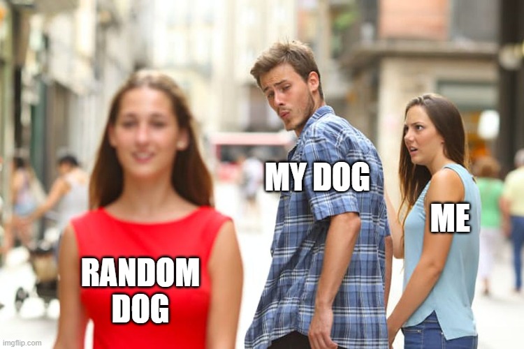 Distracted Boyfriend | MY DOG; ME; RANDOM
DOG | image tagged in memes,distracted boyfriend | made w/ Imgflip meme maker