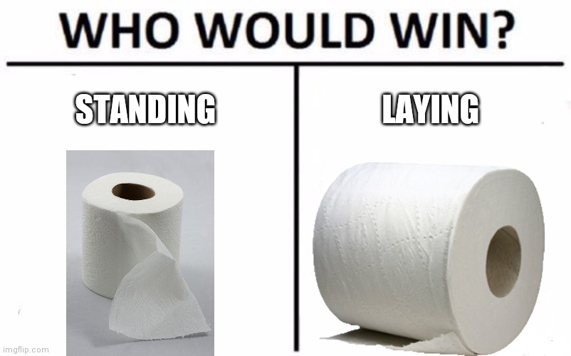 Who Would Win? | STANDING; LAYING | image tagged in memes,who would win | made w/ Imgflip meme maker