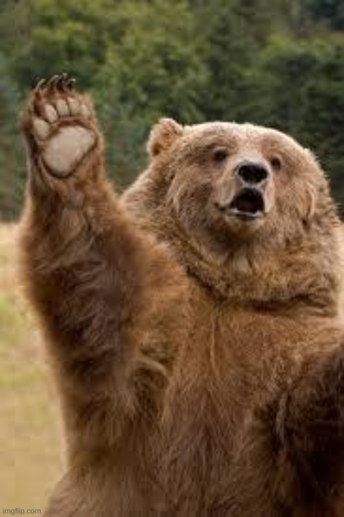 grizzly bear | image tagged in grizzly bear | made w/ Imgflip meme maker
