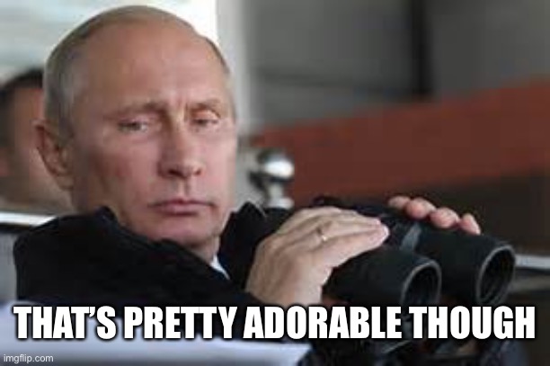 Putin Binoculars | THAT’S PRETTY ADORABLE THOUGH | made w/ Imgflip meme maker