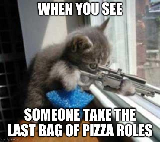 CatSniper | WHEN YOU SEE; SOMEONE TAKE THE LAST BAG OF PIZZA ROLES | image tagged in catsniper | made w/ Imgflip meme maker