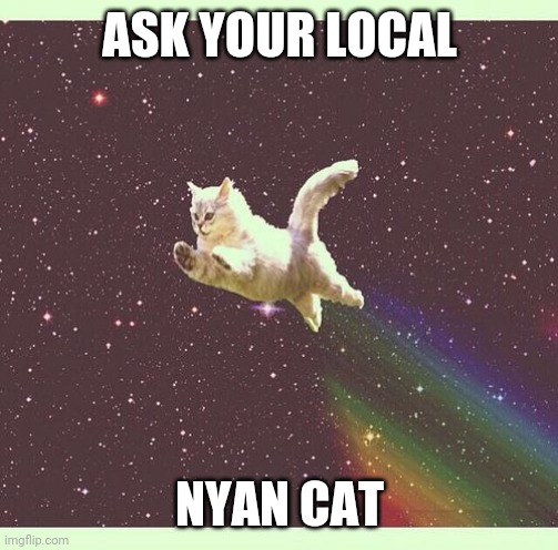 Nyan Cat Real | ASK YOUR LOCAL; NYAN CAT | image tagged in nyan cat real | made w/ Imgflip meme maker