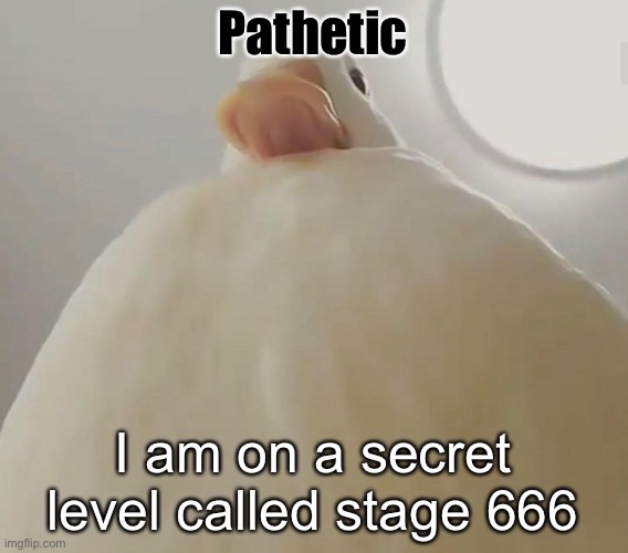 pathetic (duck#1) | Pathetic I am on a secret level called stage 666 | image tagged in pathetic duck1 | made w/ Imgflip meme maker