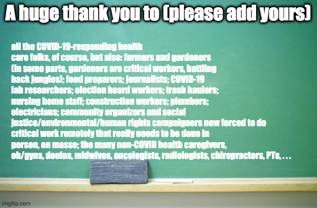 blank chalkboard | all the COVID-19-responding health care folks, of course, but also: farmers and gardeners (in some parts, gardeners are critical workers, battling back jungles); food preparers; journalists; COVID-19 lab researchers; election board workers; trash haulers; nursing home staff; construction workers; plumbers; electricians; community organizers and social justice/environmental/human rights campaigners now forced to do critical work remotely that really needs to be done in person, en masse; the many non-COVID health caregivers, ob/gyns, doulas, midwives, oncologists, radiologists, chiropractors, PTs, . . . A huge thank you to (please add yours) | image tagged in blank chalkboard | made w/ Imgflip meme maker