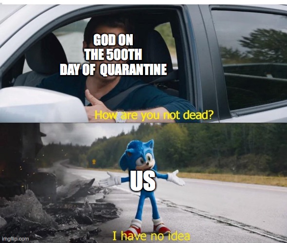 sonic how are you not dead | GOD ON THE 500TH DAY OF  QUARANTINE; US | image tagged in sonic how are you not dead | made w/ Imgflip meme maker