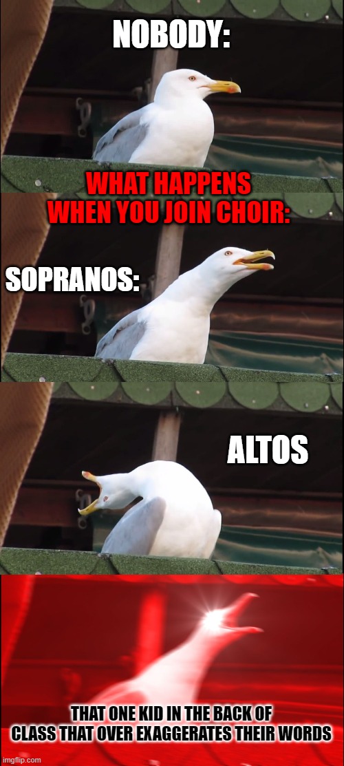 Inhaling Seagull Meme |  NOBODY:; WHAT HAPPENS WHEN YOU JOIN CHOIR:; SOPRANOS:; ALTOS; THAT ONE KID IN THE BACK OF CLASS THAT OVER EXAGGERATES THEIR WORDS | image tagged in memes,inhaling seagull | made w/ Imgflip meme maker