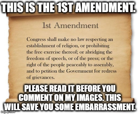 Apparently I Need To Do This | THIS IS THE 1ST AMENDMENT. PLEASE READ IT BEFORE YOU COMMENT ON MY IMAGES. THIS WILL SAVE YOU SOME EMBARRASSMENT. | image tagged in 1st amendment,first amendment,constitution,disclaimer,literacy,embarrassing | made w/ Imgflip meme maker