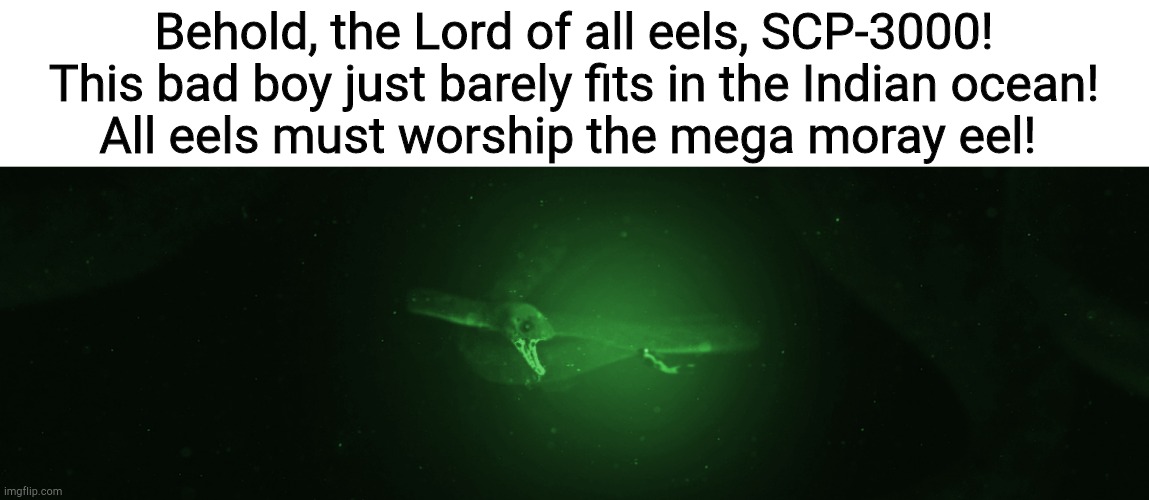 Scp 3000 | Behold, the Lord of all eels, SCP-3000!
This bad boy just barely fits in the Indian ocean!
All eels must worship the mega moray eel! | image tagged in scp 3000 | made w/ Imgflip meme maker