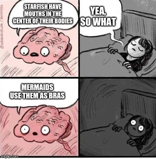 Trying to sleep | YEA, SO WHAT; STARFISH HAVE MOUTHS IN THE CENTER OF THEIR BODIES; MERMAIDS USE THEM AS BRAS | image tagged in trying to sleep | made w/ Imgflip meme maker