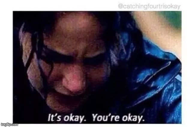 It's okay. You're okay. | image tagged in it's okay you're okay | made w/ Imgflip meme maker