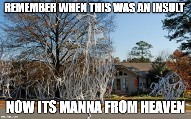 REMEMBER WHEN THIS WAS AN INSULT; NOW ITS MANNA FROM HEAVEN | image tagged in toilet paper,covid-19 | made w/ Imgflip meme maker