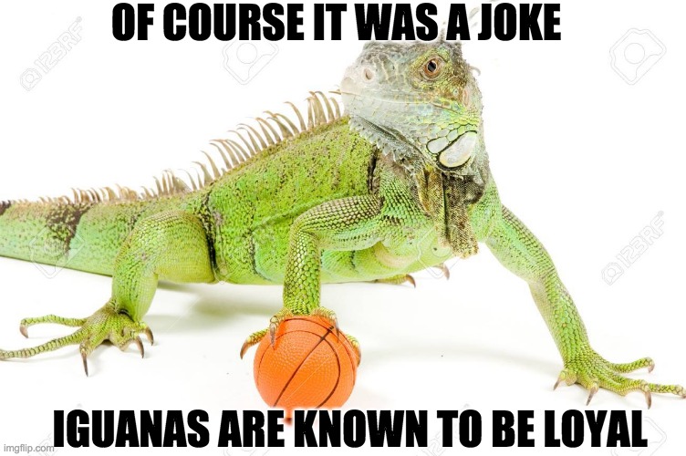 OF COURSE IT WAS A JOKE; IGUANAS ARE KNOWN TO BE LOYAL | made w/ Imgflip meme maker