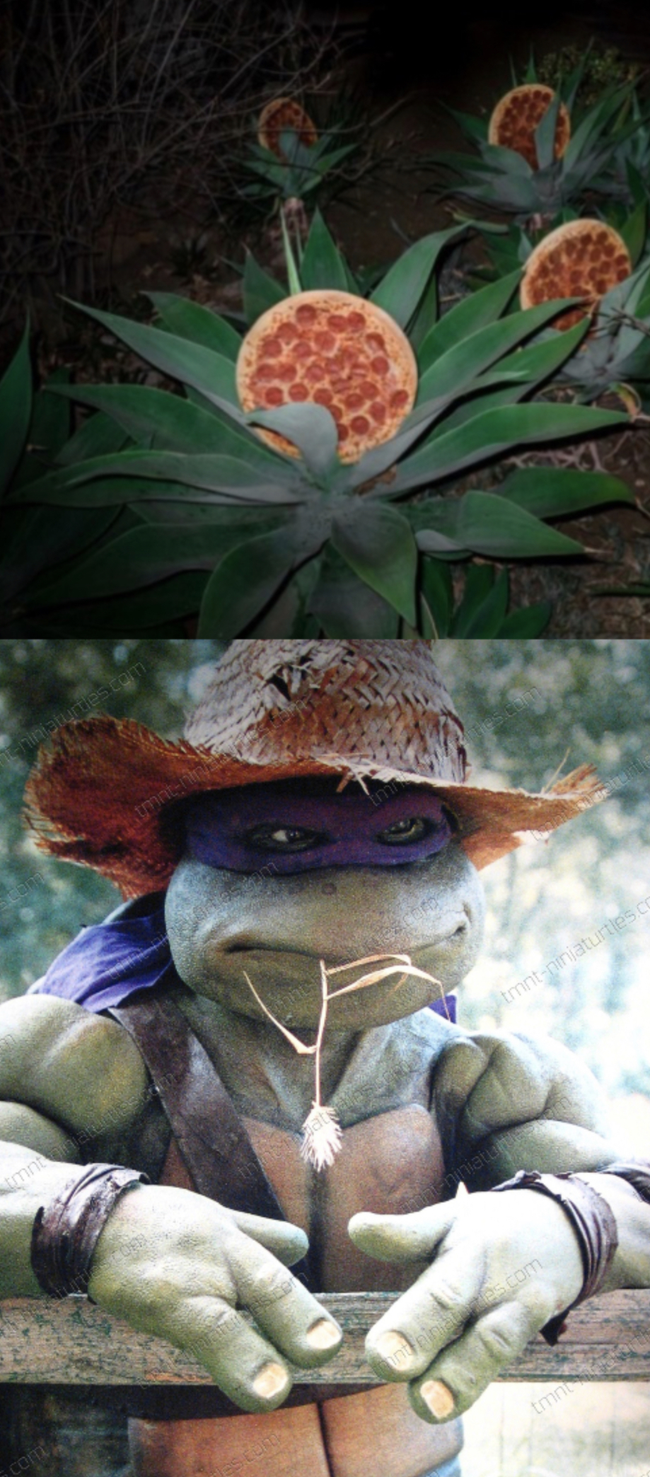 TMNT PIZZA FARMER Blank Meme Template