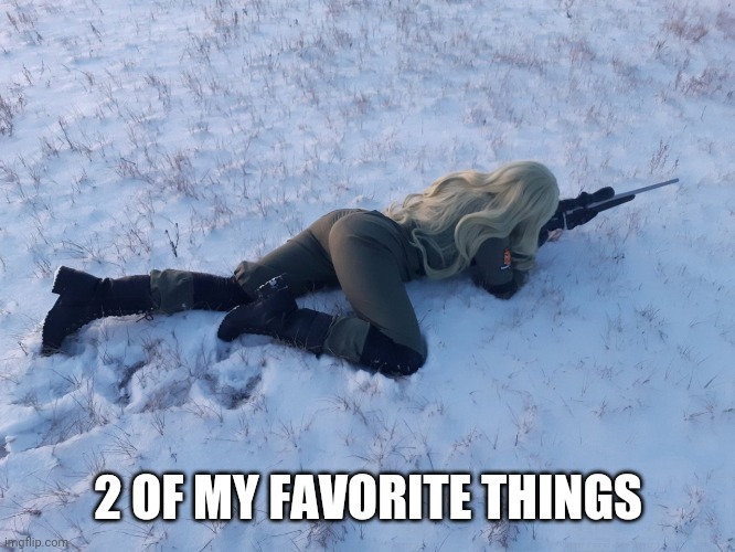 ! | 2 OF MY FAVORITE THINGS | image tagged in booty,firearms | made w/ Imgflip meme maker