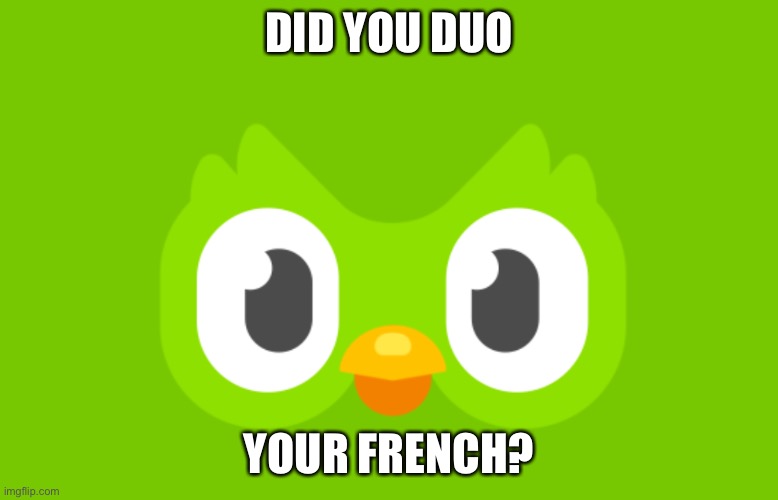 Doulingo owl | DID YOU DUO; YOUR FRENCH? | image tagged in owl | made w/ Imgflip meme maker