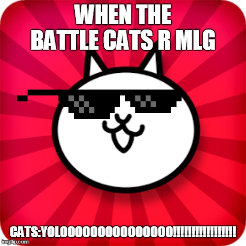 WHEN THE BATTLE CATS R MLG; CATS:YOLOOOOOOOOOOOOOOO!!!!!!!!!!!!!!!!! | image tagged in the battle cats,lolcats | made w/ Imgflip meme maker