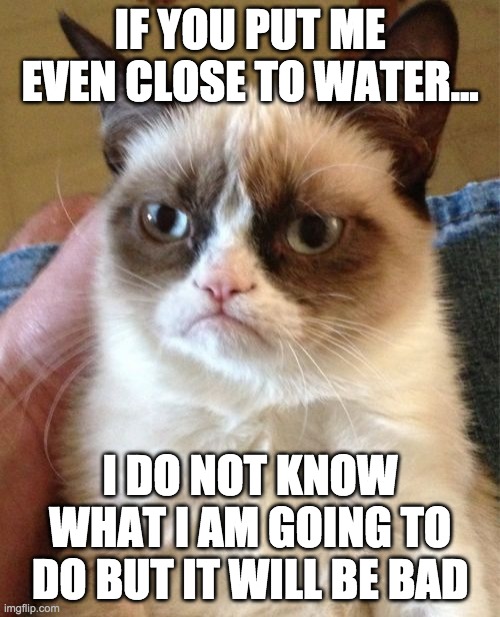 Grumpy Cat | IF YOU PUT ME EVEN CLOSE TO WATER... I DO NOT KNOW WHAT I AM GOING TO DO BUT IT WILL BE BAD | image tagged in memes,grumpy cat | made w/ Imgflip meme maker
