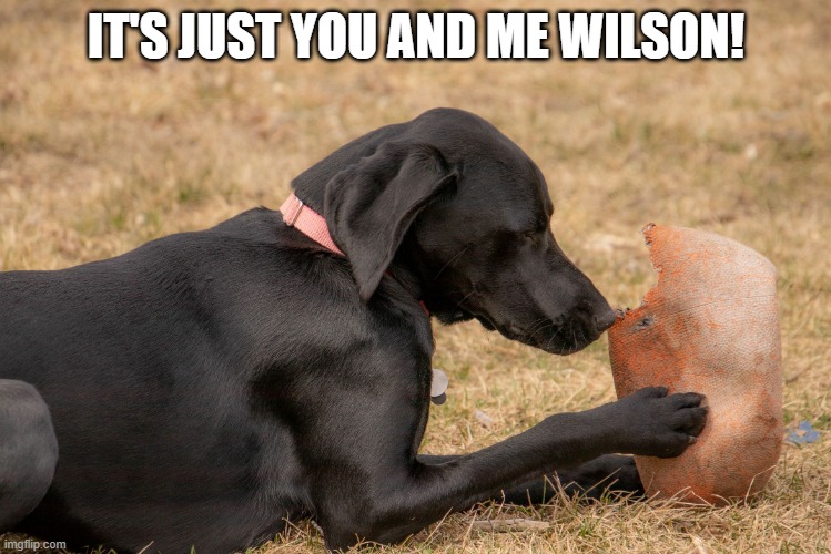 It's just you and me Wilson | IT'S JUST YOU AND ME WILSON! | image tagged in it's just you and me wilson | made w/ Imgflip meme maker