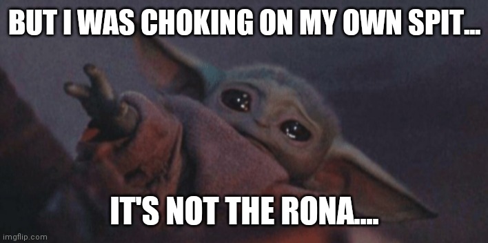 Baby yoda cry | BUT I WAS CHOKING ON MY OWN SPIT... IT'S NOT THE RONA.... | image tagged in baby yoda cry | made w/ Imgflip meme maker