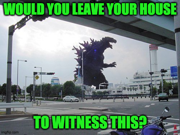 worse than corona virus? | WOULD YOU LEAVE YOUR HOUSE; TO WITNESS THIS? | image tagged in godzilla | made w/ Imgflip meme maker